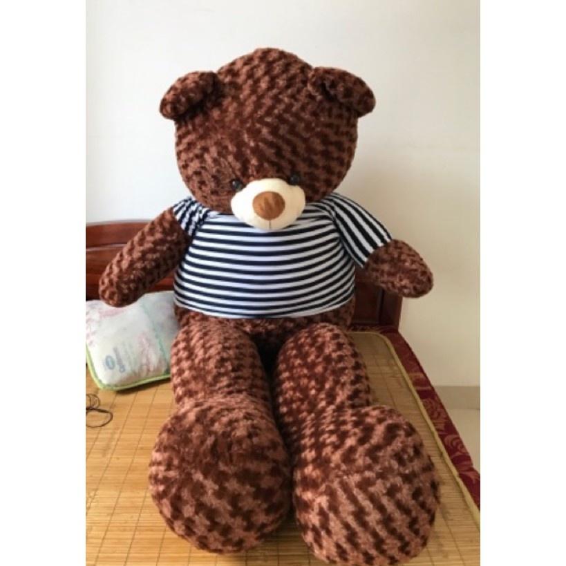 Gấu teddy, màu nâu socola size 1m4 - 1m6 -1m8 siêu to, chất liệu mềm mịn