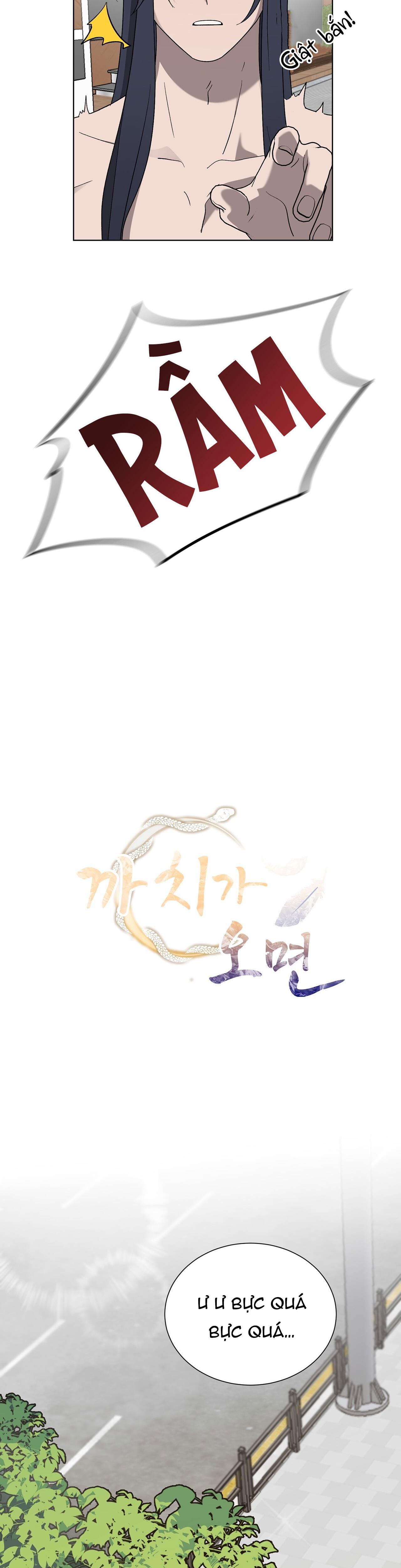 khi chim thước đến chapter 9 11