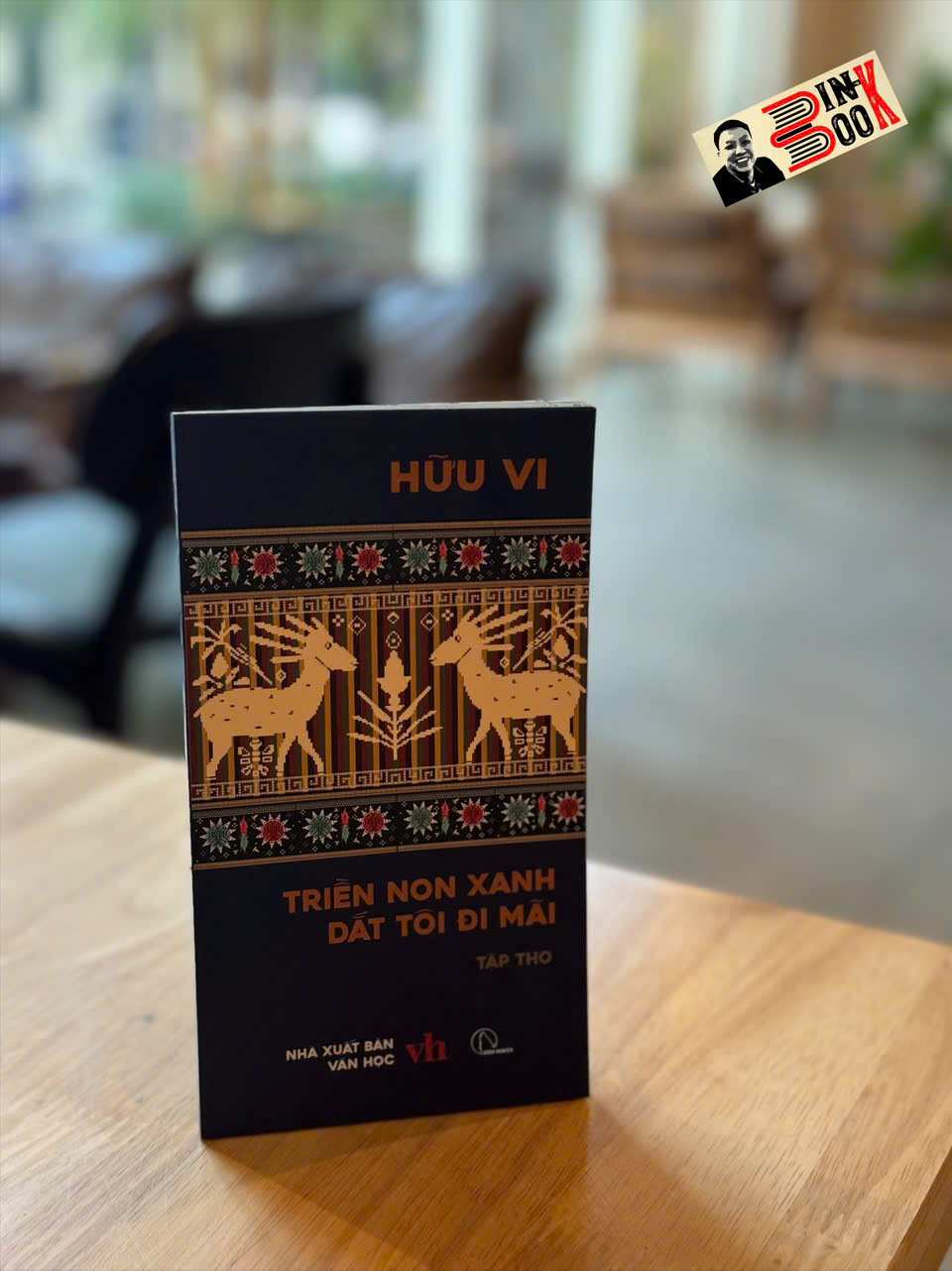TRIỀN NON XANH DẮT TÔI ĐI MÃI - Hữu Vi - Lyceum