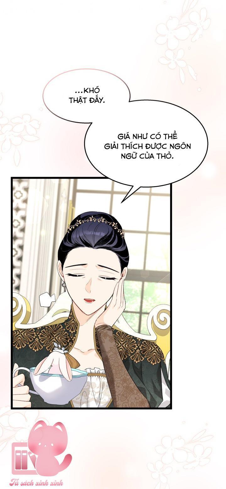quan hệ cộng sinh giữa báo đen và thỏ trắng chapter 84 12