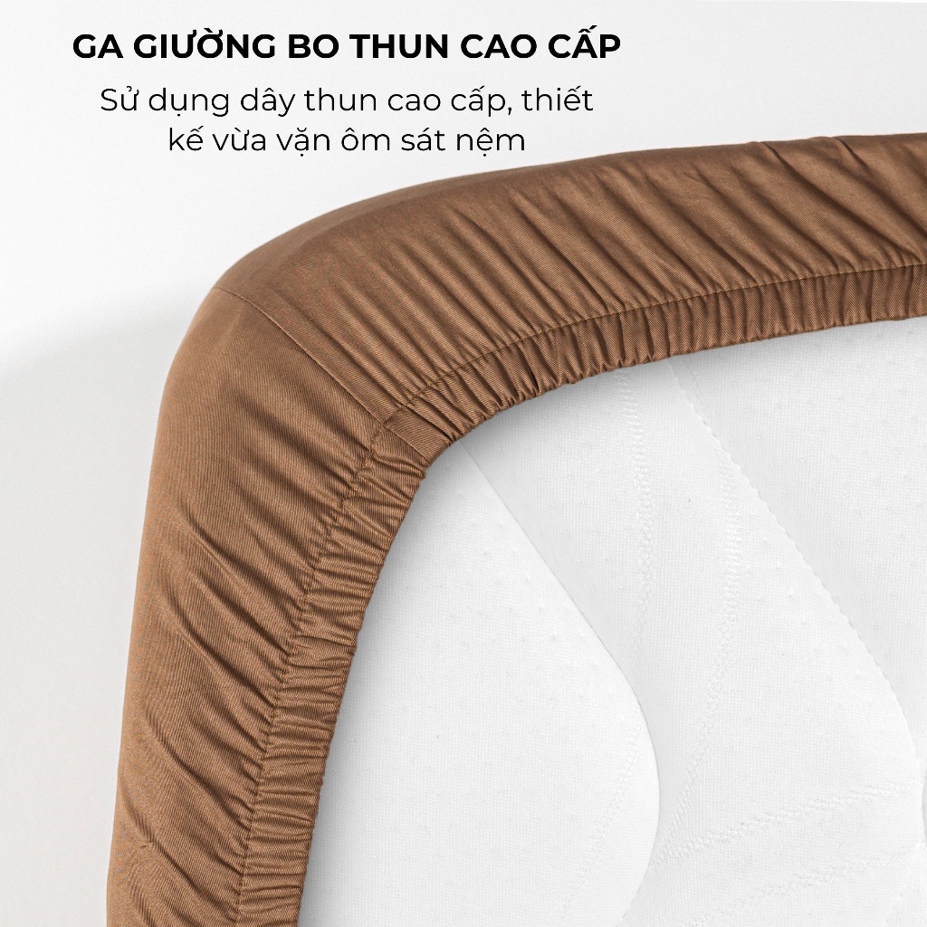 Ga Giường Bo Thun Gòn Bedding Cotton 100% Hàn Quốc 2mx2m-2m2x2m (ĐẶT HÀNG 1-2 NGÀY)