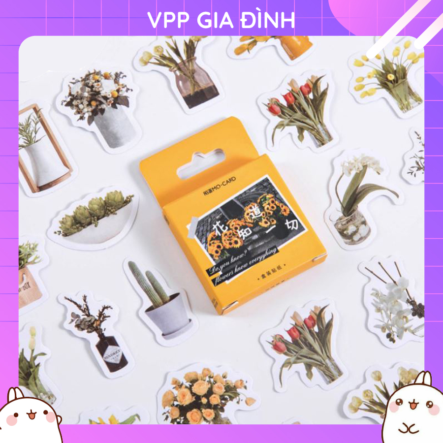 Hộp 46 Miếng Nhãn Dán Sticker Mùa Hoa Yêu Thương ( Sunflowers Hoa Hướng Dương)