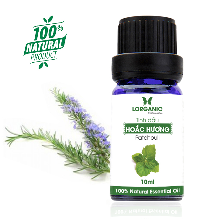 Tinh dầu hoắc hương Patchouli Lorganic 10ml/ Hương thơm nhẹ nhàng/ Tinh dầu thiên nhiên nguyên chất xông phòng, thư giãn tinh thần, cân bằng cảm xúc, khử mùi hiệu quả/ Thích hợp dùng với đèn xông và máy khuếch tán.