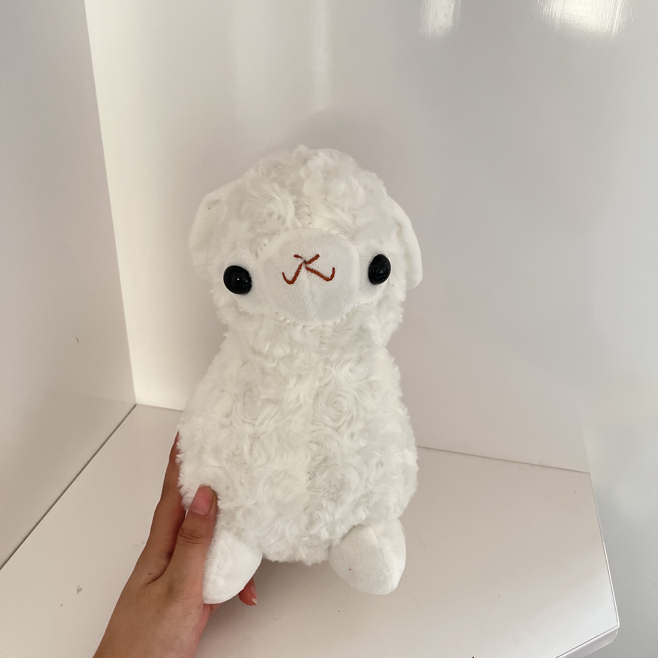 Gấu bông cừu trắng dễ thương