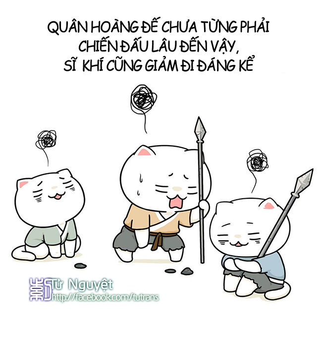 nếu lịch sử là một bầy mèo chapter 2 25