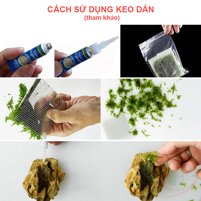 Keo dán KaoKui Instant Gel Glue keo đa năng dán lũa đá cây san hô bể thủy sinh cá tép cảnh