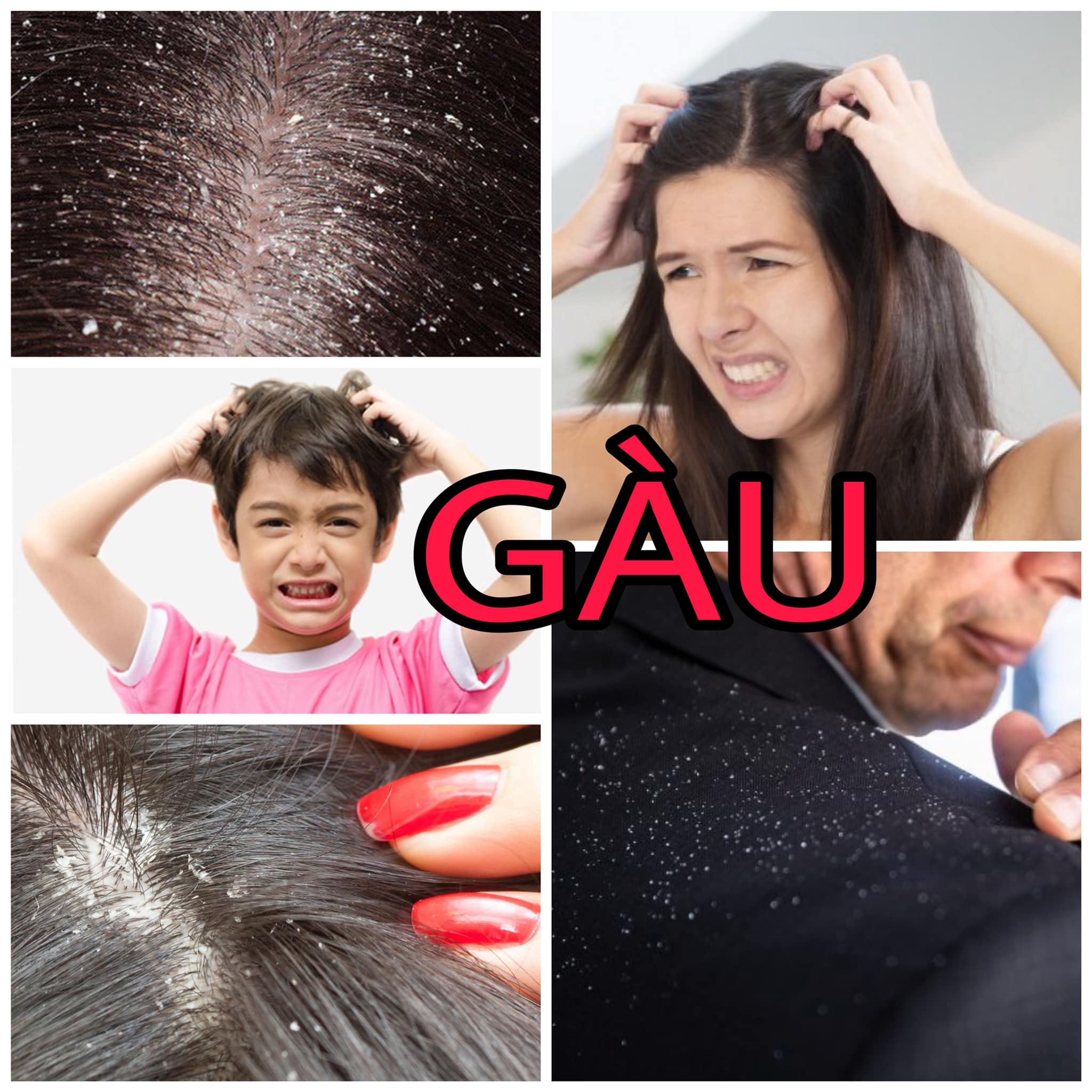 TÚI LỌC GỘI ĐẦU THIÊN NHIÊN REE'L BEAUTE - DÒNG CAO CẤP