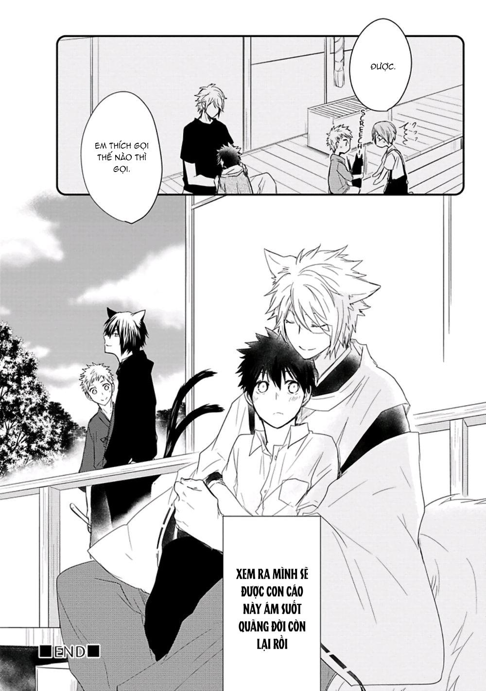 list truyện manga ngắn theo yêu cầu chapter 11 36