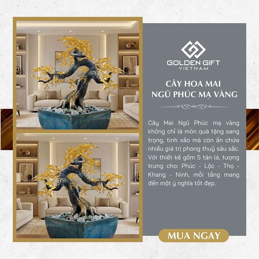 CÂY HOA MAI NGŨ PHÚC MẠ VÀNG