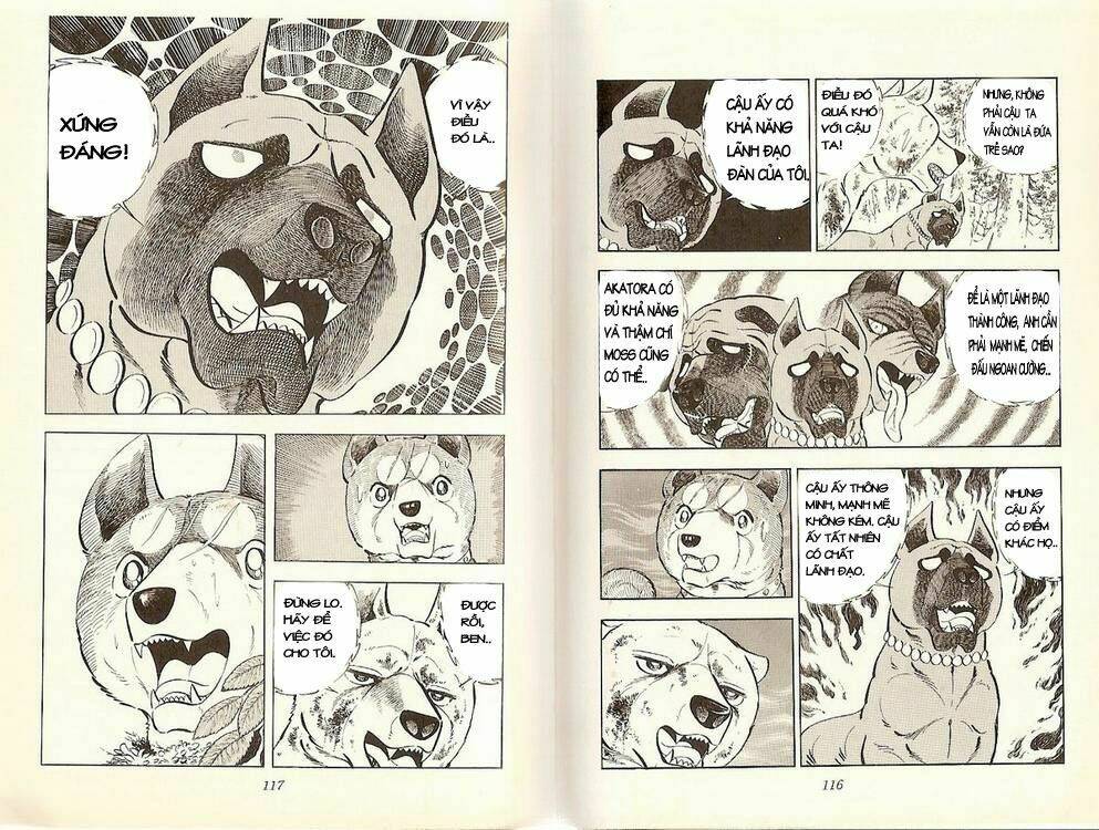 chú chó có nghĩa - ginga nagareboshi gin chapter 20 7