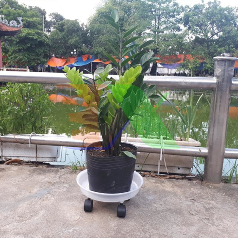 Set 100 Chậu nhựa PE 25x21x21cm bền từ 5 đến 10 năm-0177105