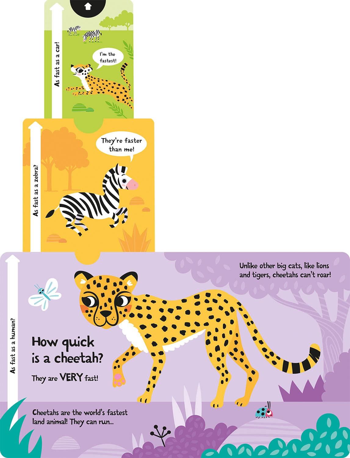 Sách ngoại văn: Slide And Seek - How Loud Is A Lion?