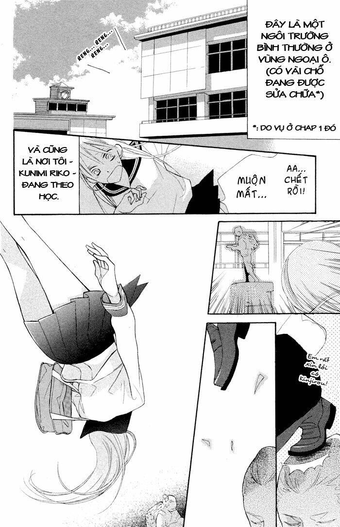 hoa trong bão chapter 2 5