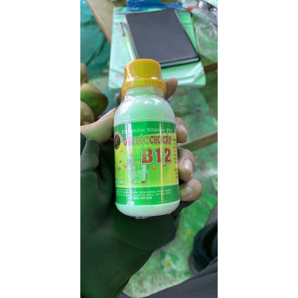 CHẾ PHẨM B12 GIẢI ĐỘC CHO CÂY HOA , TÁI TẠO TẾ BÀO , PHỤC HỒI SỨC SỐNG CÂY HOA