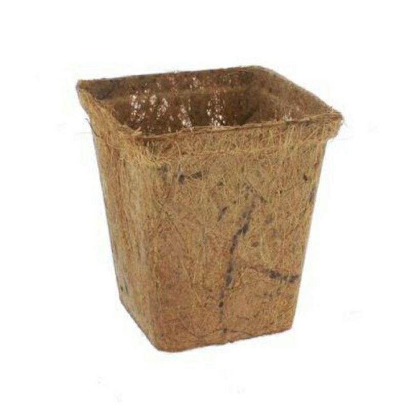 Combo 10 chậu xơ dừa ép nhiệt vuông coir pot kt 9,5 x 9.7cm