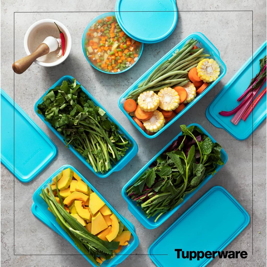 Hộp Trữ Mát Freshia 5 Tupperware, Hộp Trữ Rau Củ Trái Cây Tươi Lâu