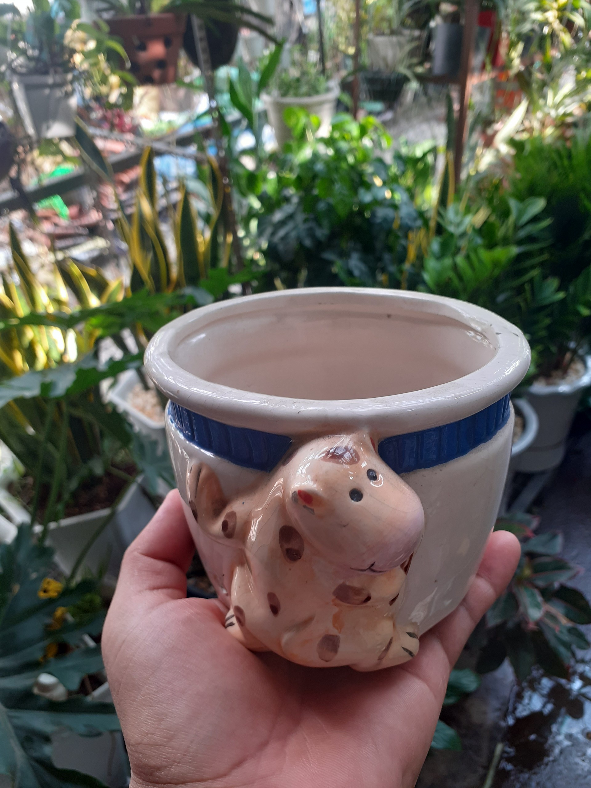 *** Chậu bé bò vàng trồng cây xinh xắn dễ thương ***