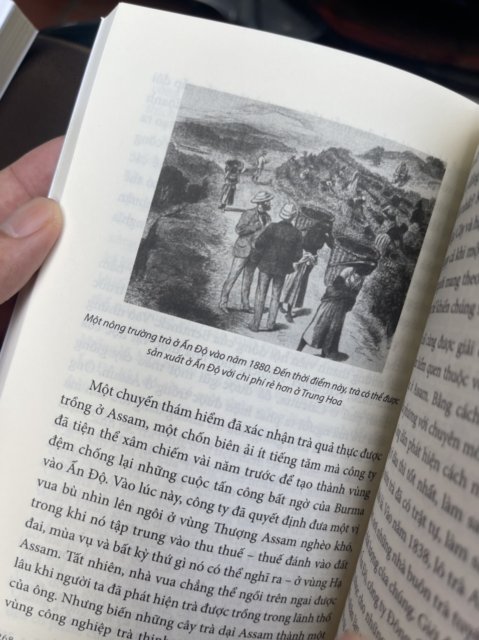 (The New York Times Bestseller) LỊCH SỬ THẾ GIỚI QUA 6 THỨC UỐNG: A HISTORY OF THE WORLD IN 6 GLASSES – Tom Standage – Miên Túc dịch – Huy Hoang Books phát hành - NXB Dân trí (Bìa mềm)