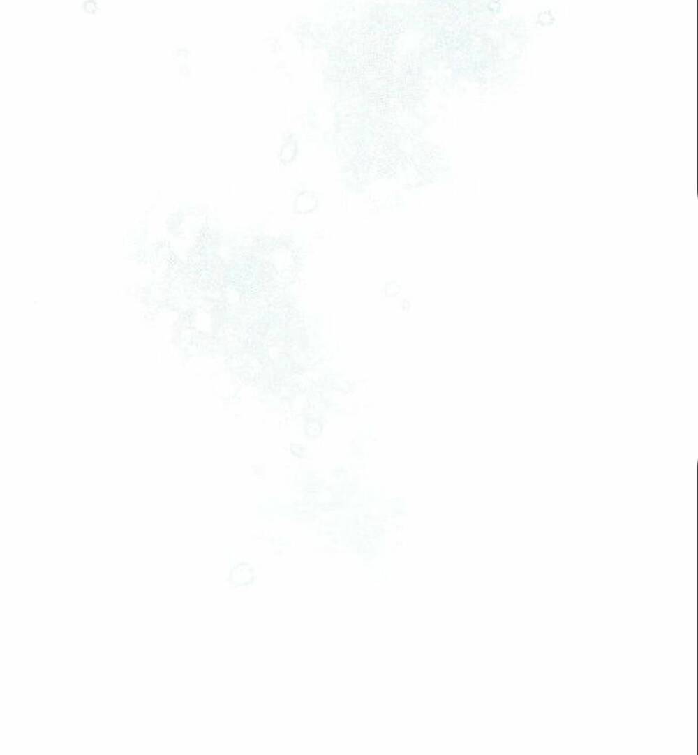 tôi sẽ từ bỏ vị trí hoàng hậu chapter 7 53