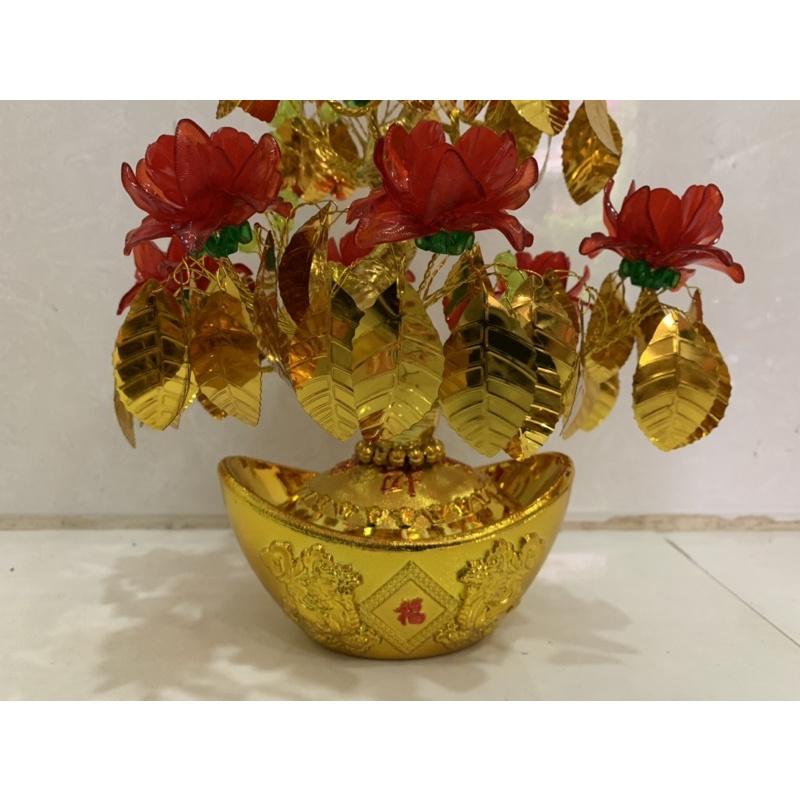 Lá Ngọc Cành Vàng cao 35cm