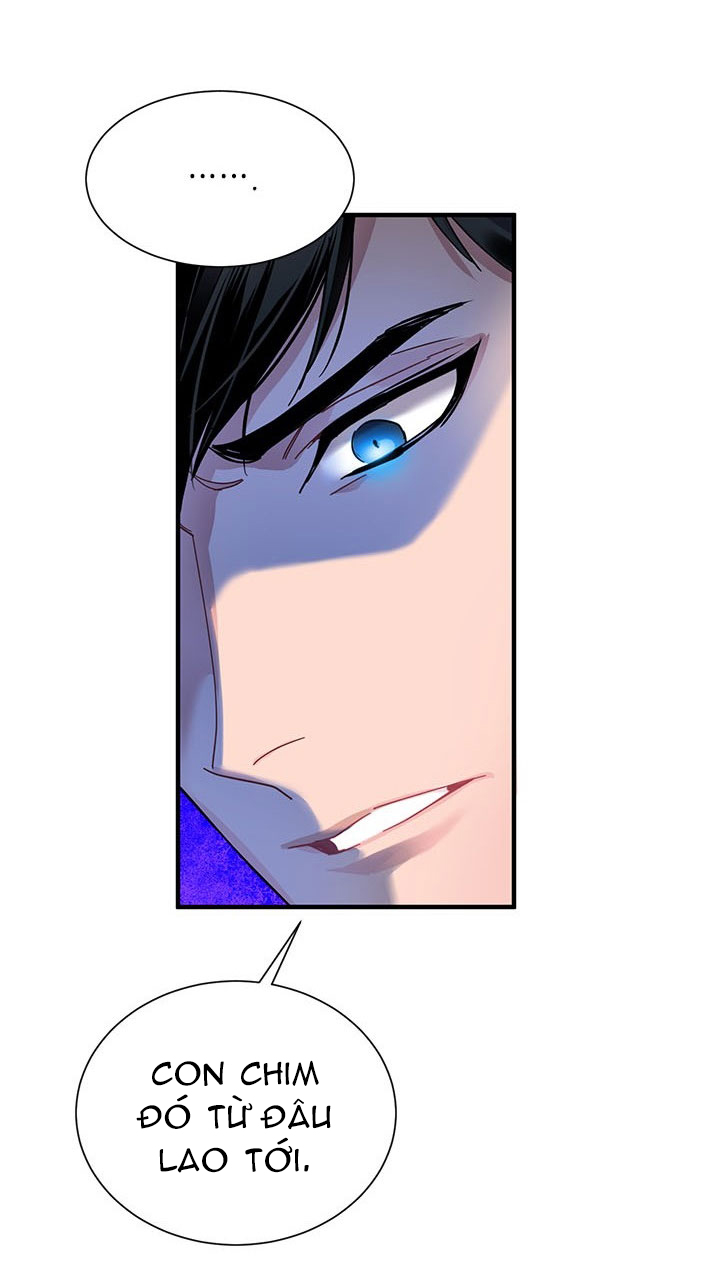 công chúa của loài chim chapter 3 36