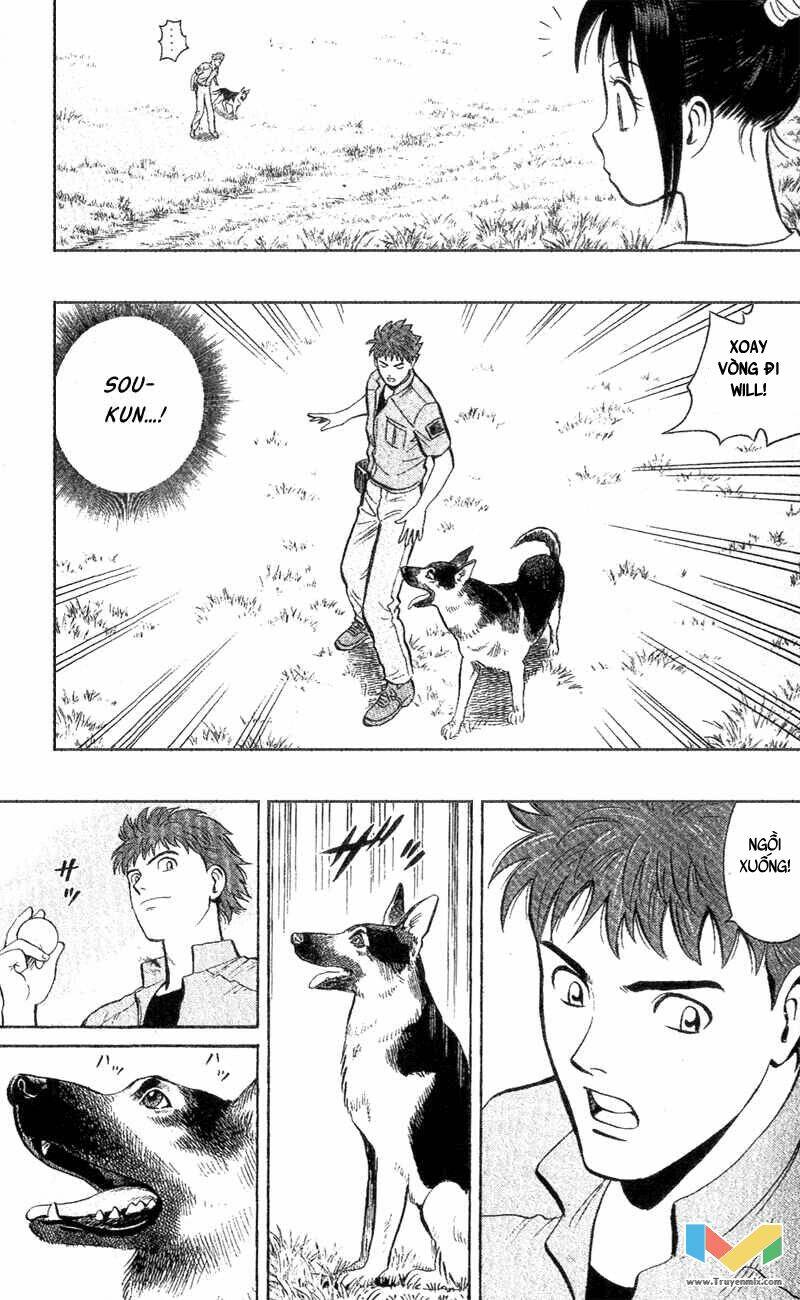 animal sense chapter 3 33