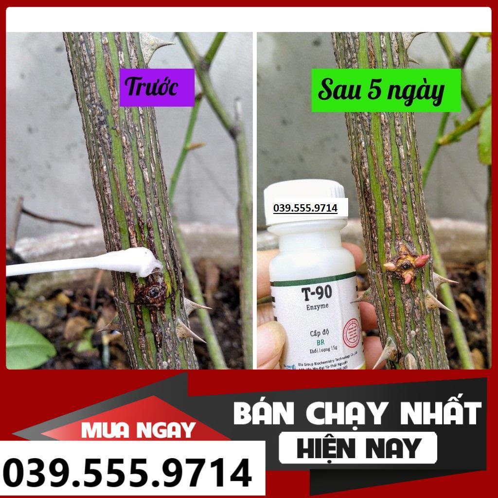 T-90 SIÊU KÍCH BẬT MẦM  (15G) - KÍCH BẬT MẦM CHO HOA LAN