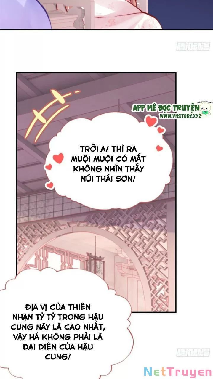 lại bị bệnh chiều chuộng quấn lấy chapter 29 50