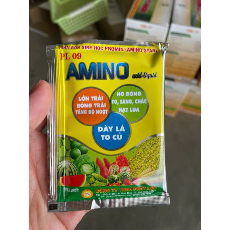 Phân sinh học amino acid tăng đậu trái lớn trái dày lá to củ gói 20ml