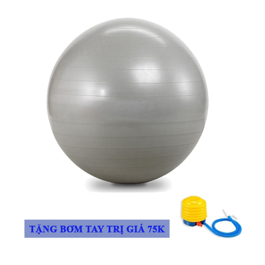 Bóng Tập Yoga Chất Liệu Cao Su Da Trơn DNS009 Chính Hãng Đại Nam Sport + Kèm Bơm Tay Mini