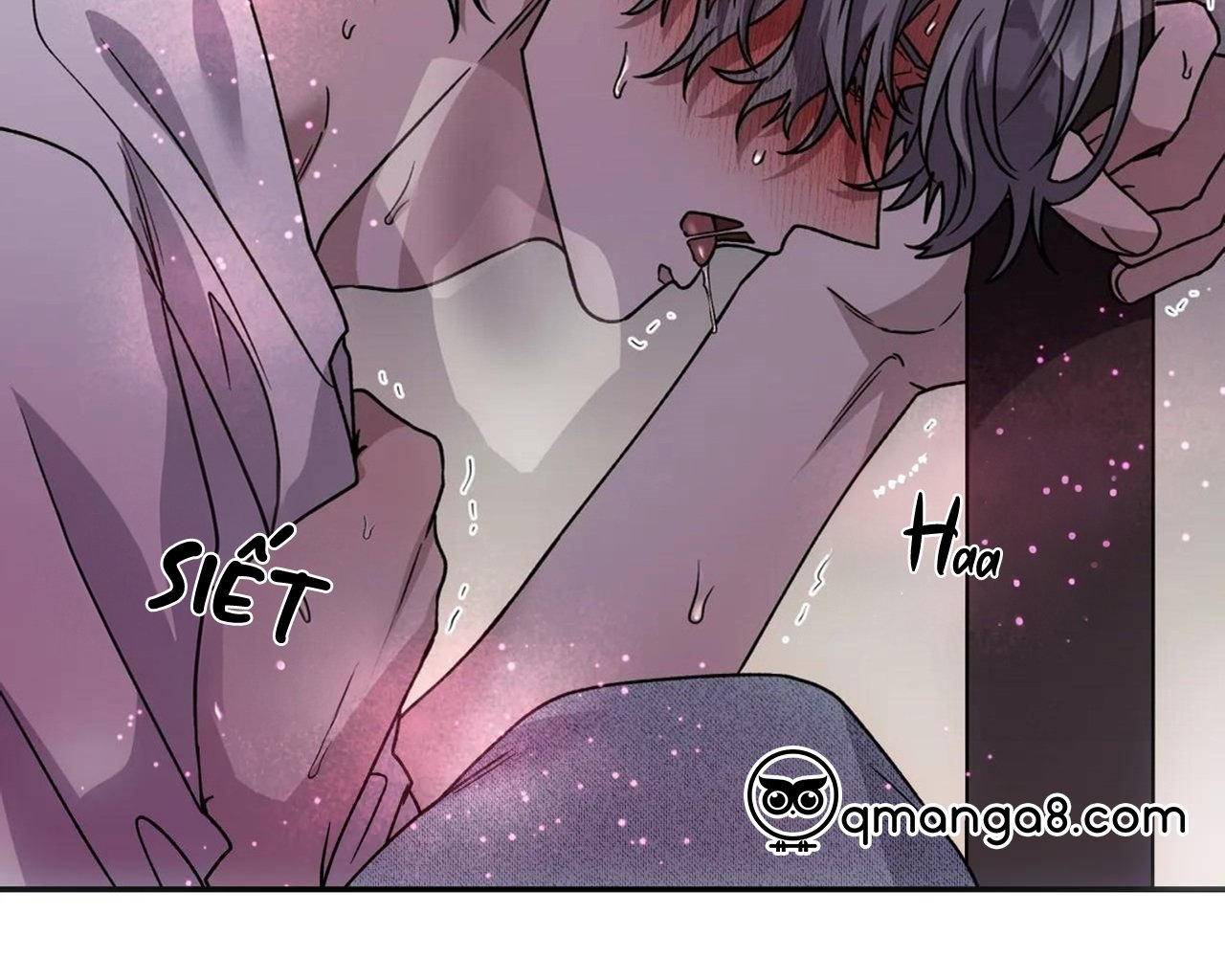 ám ảnh pheromone chapter 65 136