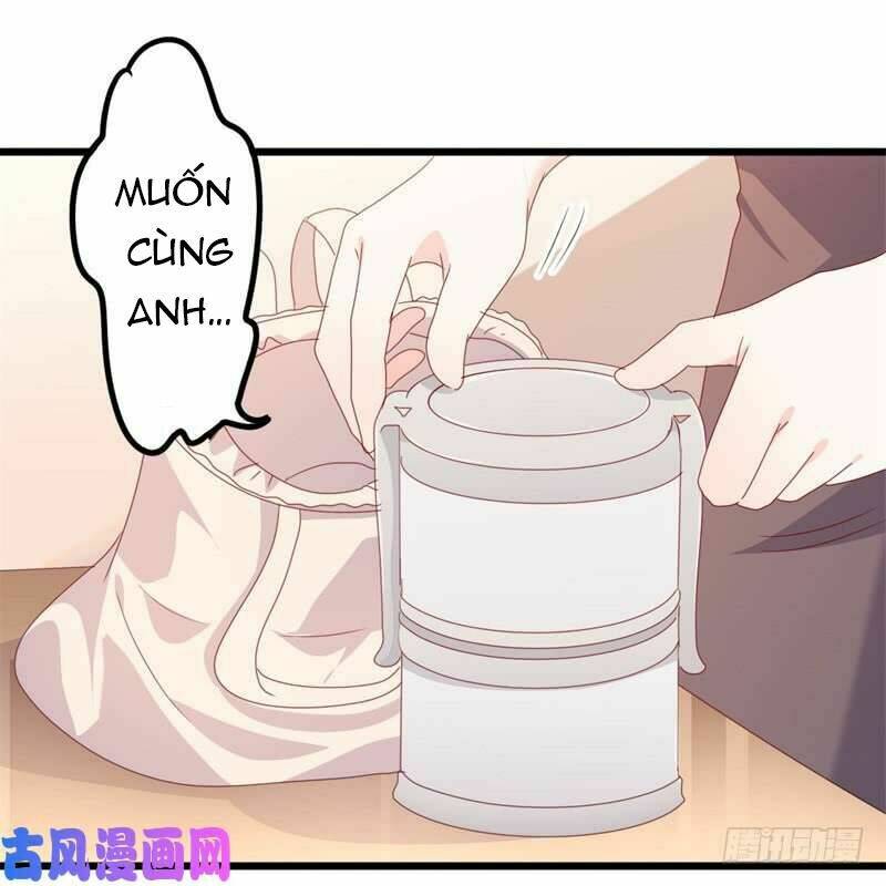 ngạo kiều tổng tài sủng điềm thê chapter 51 19