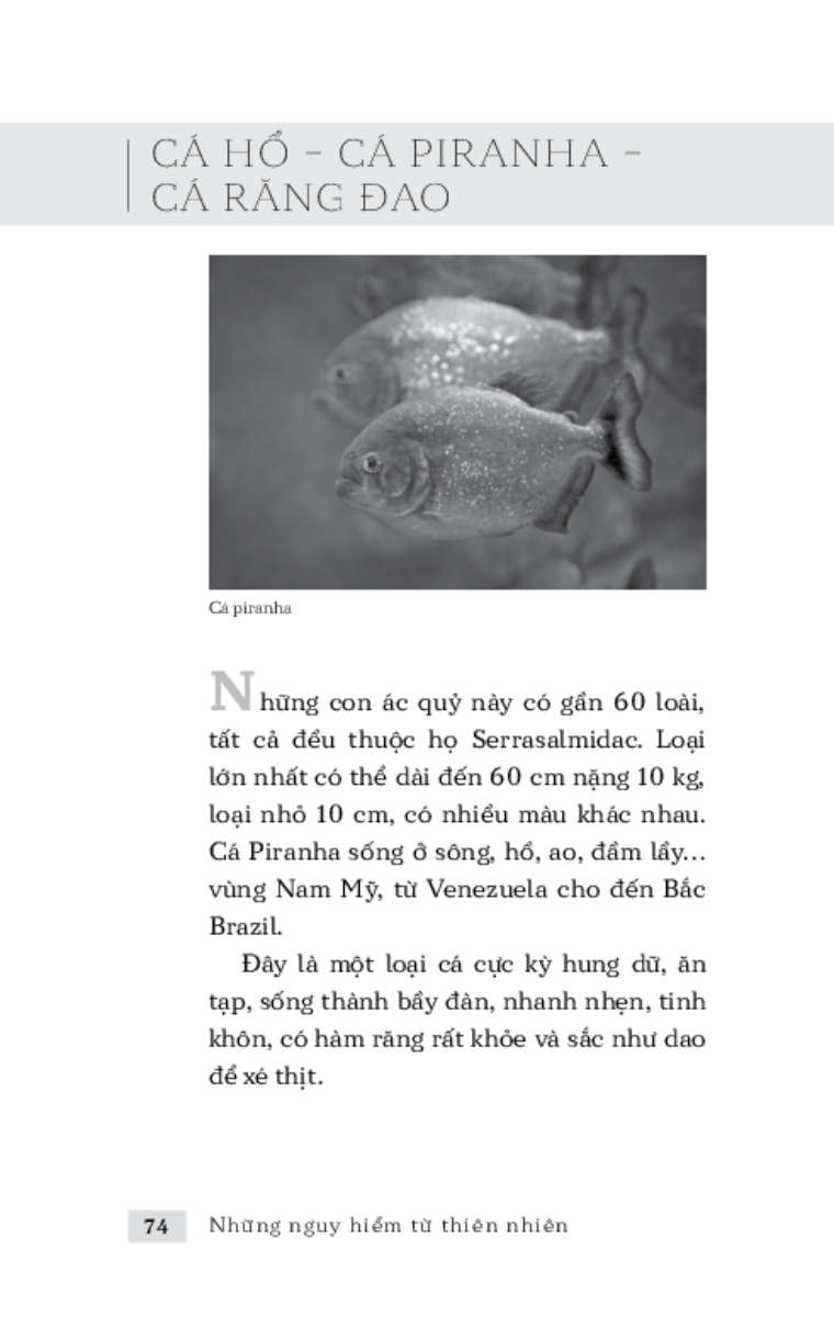 Những Nguy Hiểm Từ Thiên Nhiên _TRE