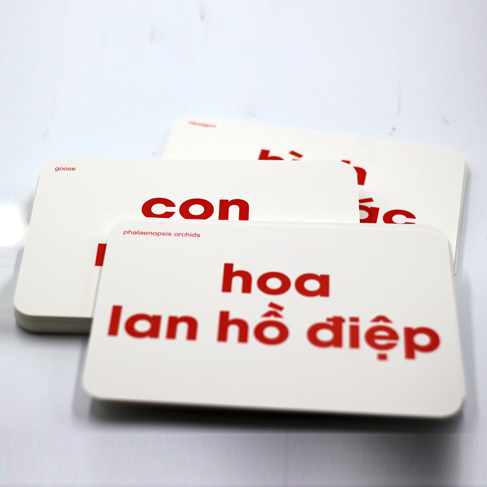 Bộ Thẻ Học Flash Card Glenn Doman Thế Giới Xung Quanh