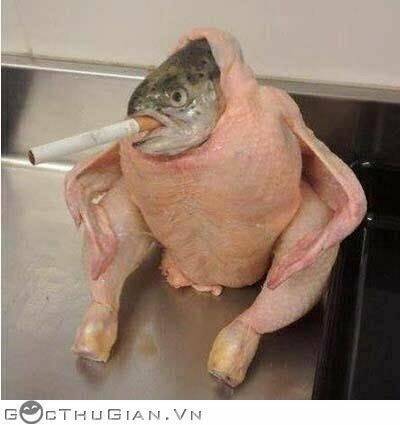 hình ảnh hài hước new chapter 27 19