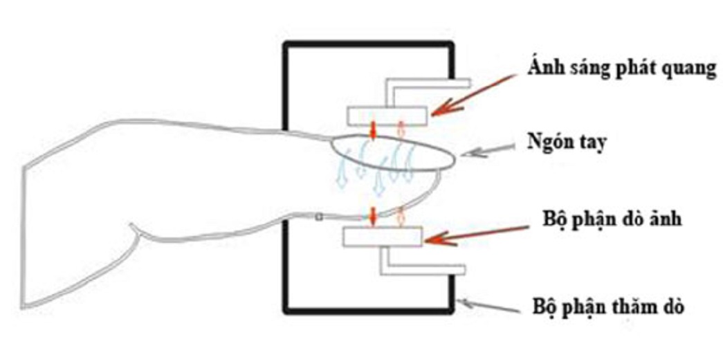 Thiết Bị Kẹp Ngón Tay Thông Màn Hình Màu Tặng Kèm Sẵn 2 pin AAA