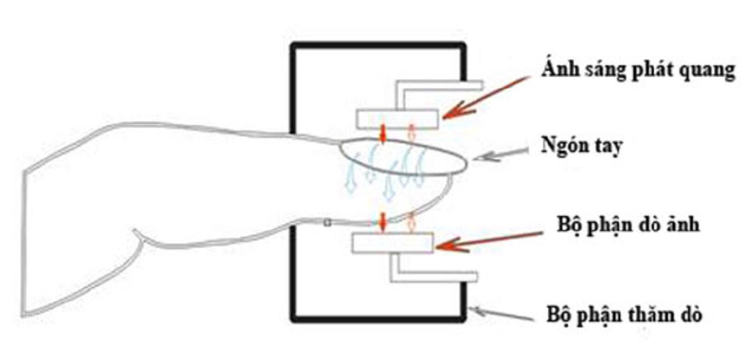 Thiết Bị Kẹp Ngón Tay Thông Màn Hình Màu Tặng Kèm Sẵn 2 pin AAA [ FULLBOX ]