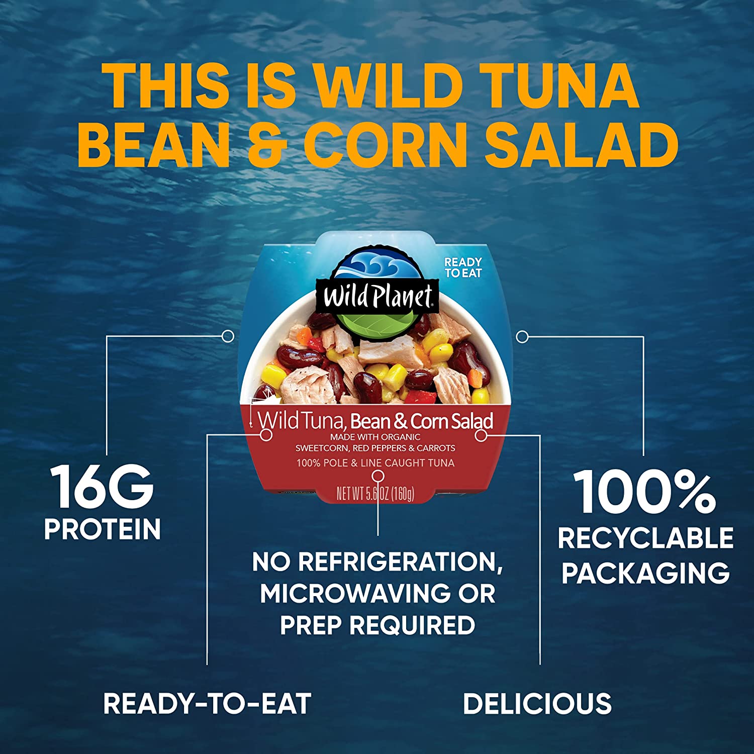 Salad đậu ngô cá ngừ đại dương Albacore Tuna Wild Planet