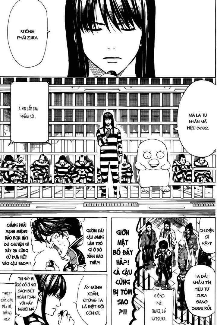 gintama - linh hồn bạc chapter 612 12