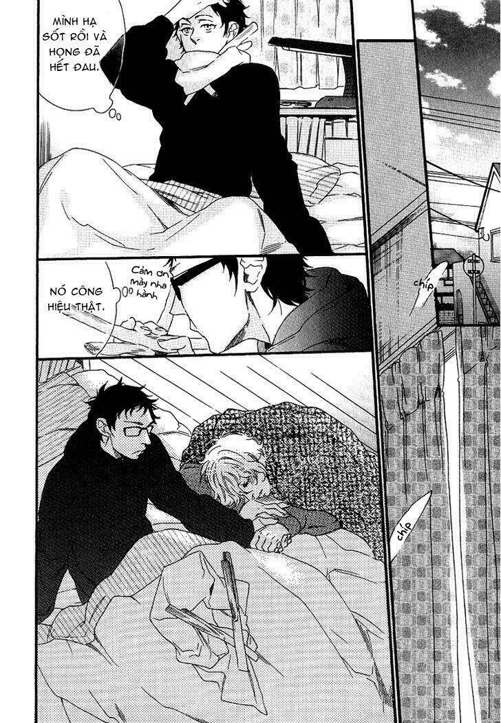 stay gold – bài học tình yêu từ a đến z chapter 2 22