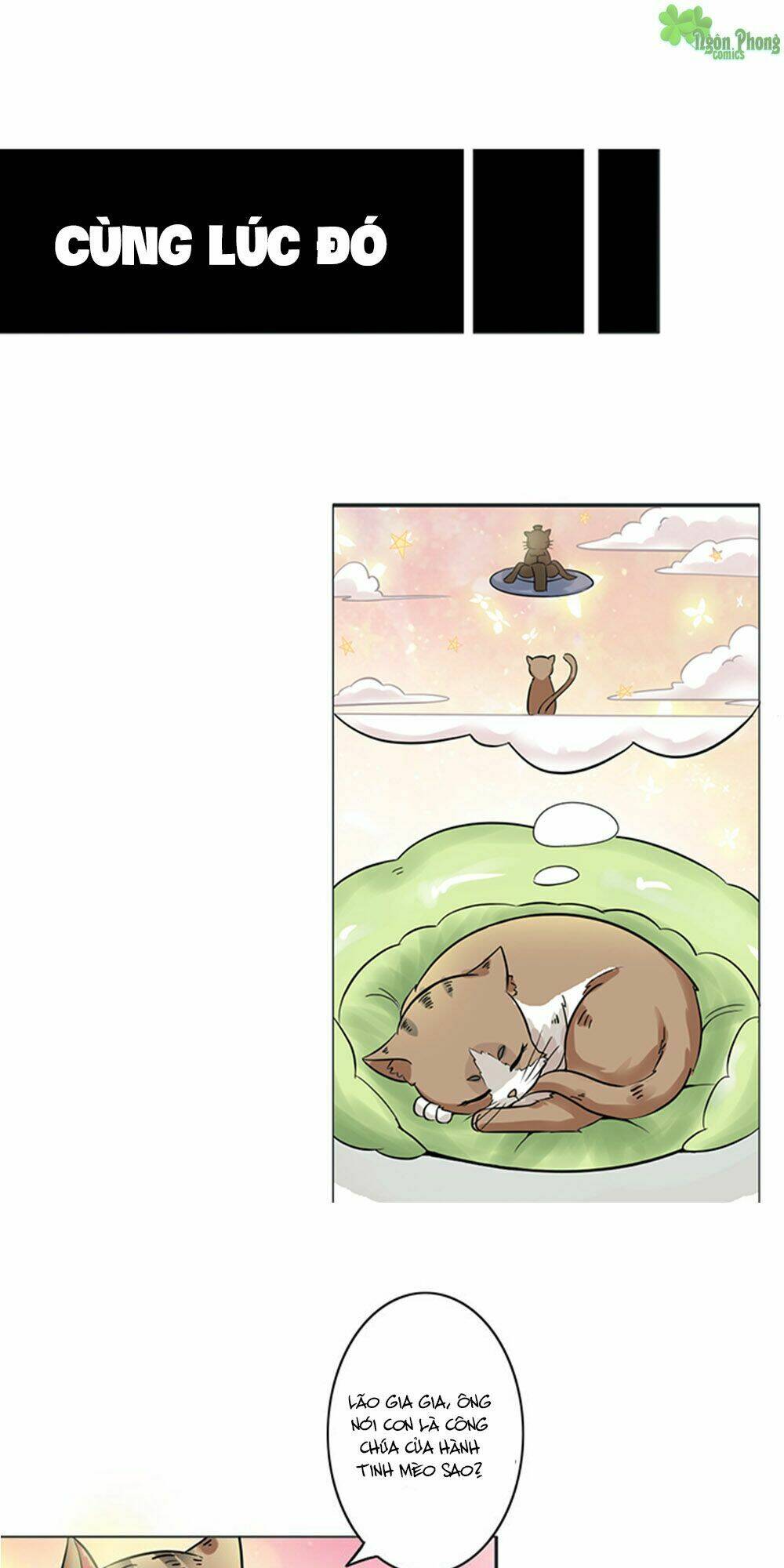 hai chú mèo totem chapter 8 3
