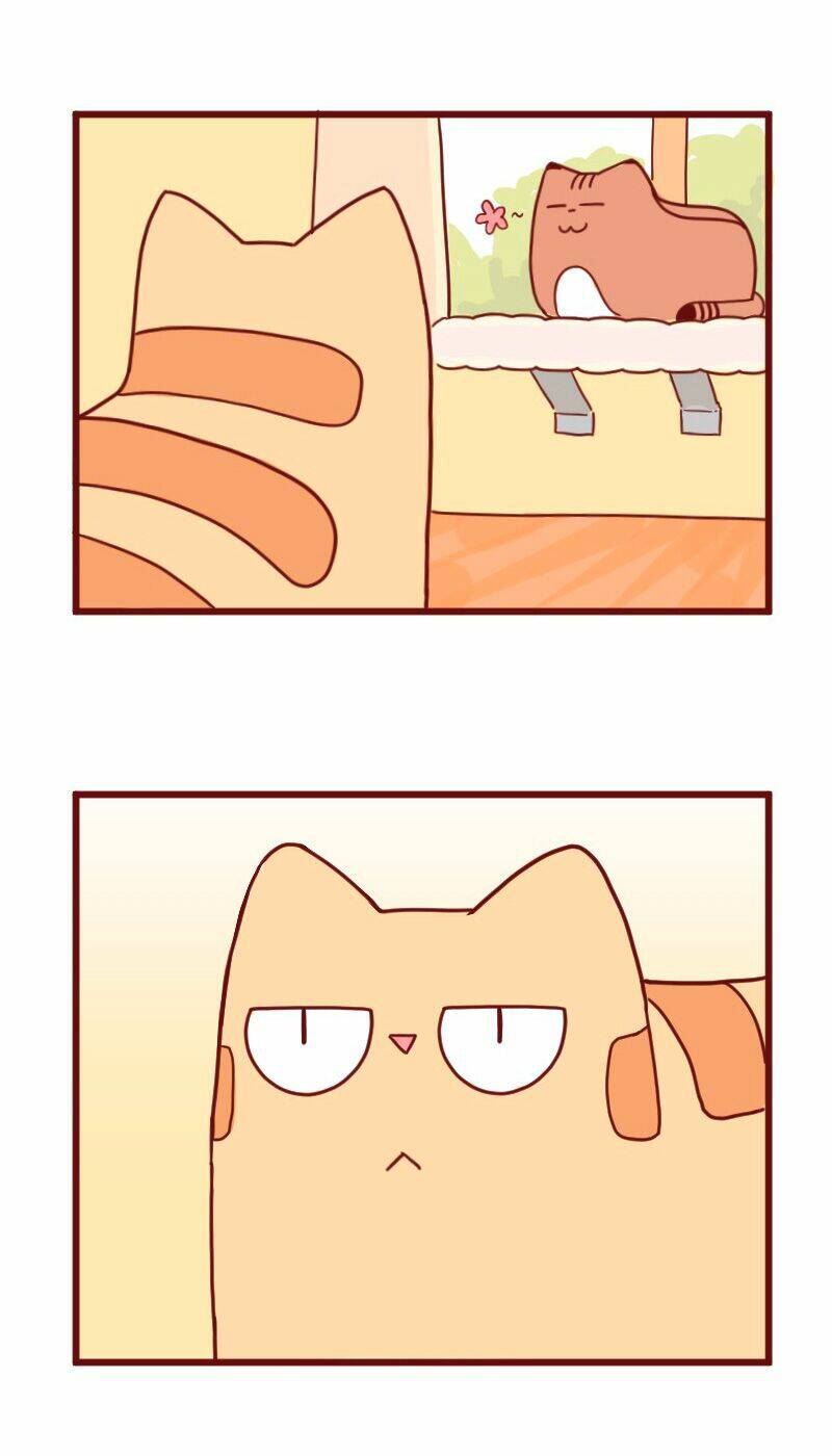 saphie: chú mèo một mắt chapter 10 5