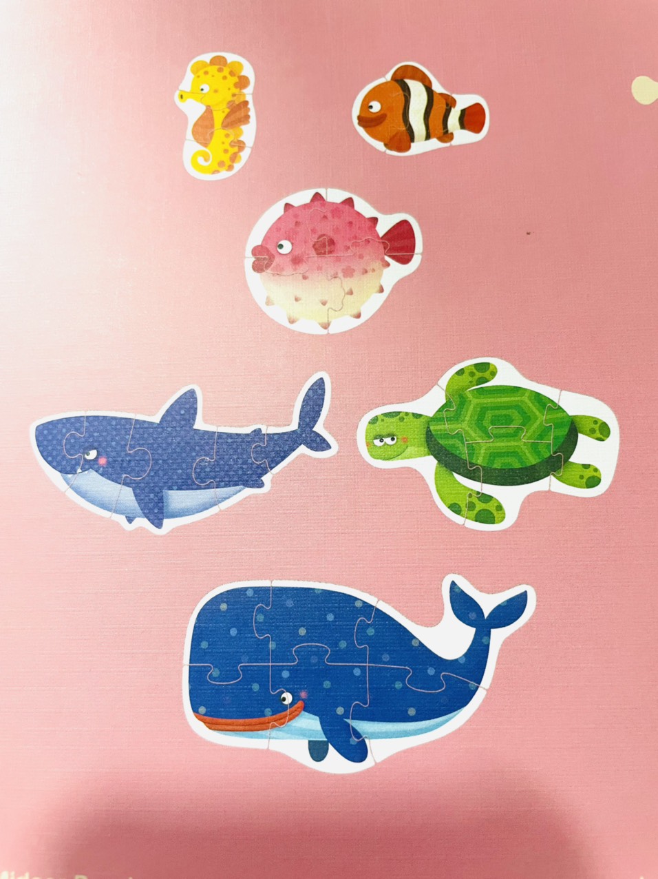 Bộ xếp hình Mideer cho bé 1.5 tuổi trở lên làm quen - mẫu Đại Dương - Mideer My first puzzle Magic Ocean