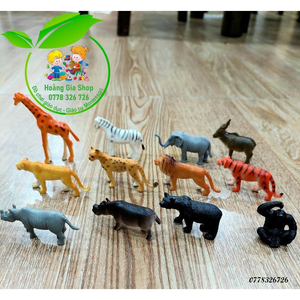 Mô hình 12 động vật hoang dã kèm thẻ ảnh