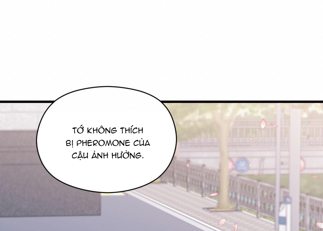 phức cảm tự ti của omega chapter 23 80