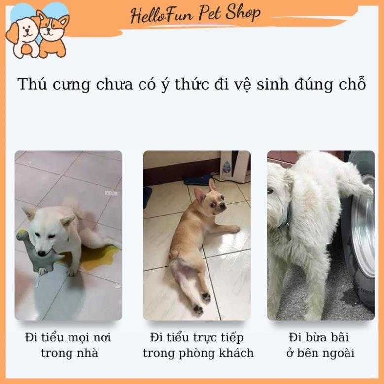 Chai xịt định vị nơi đi vệ sinh cho chó mèo