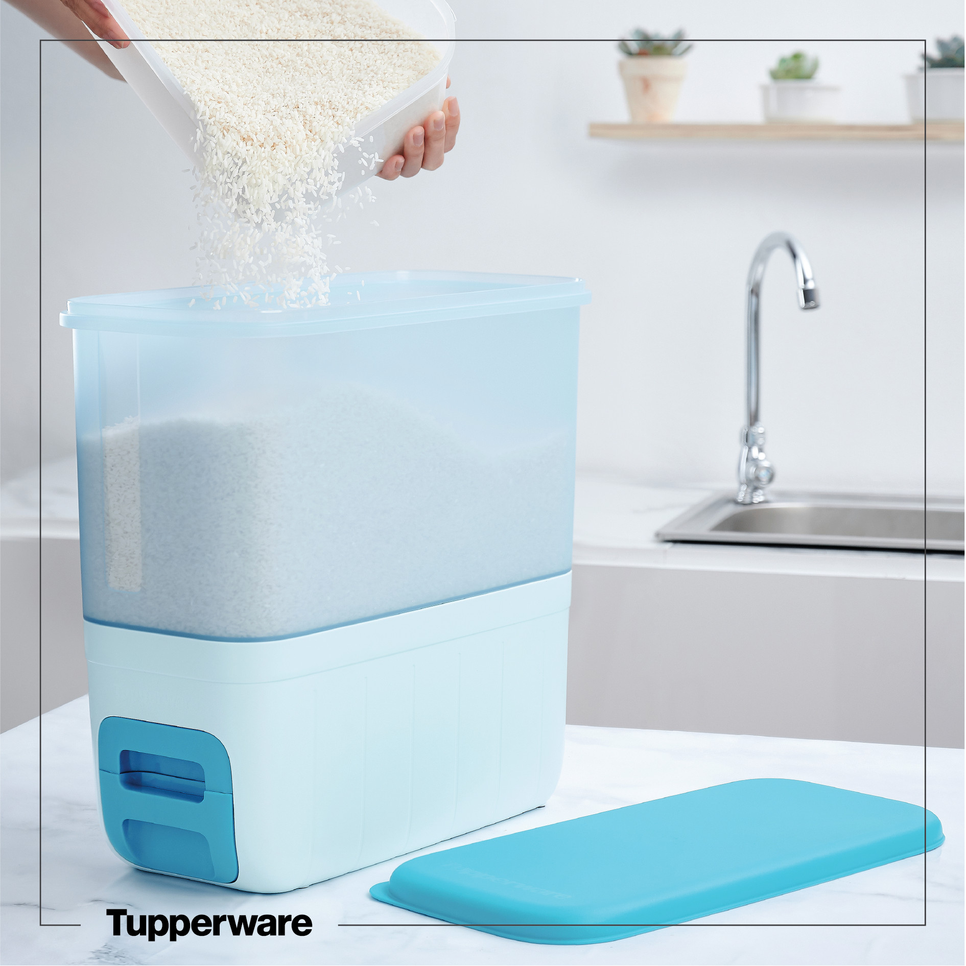 Thùng gạo Tupperware Chính Hãng - Màu Mới Xanh Paradise