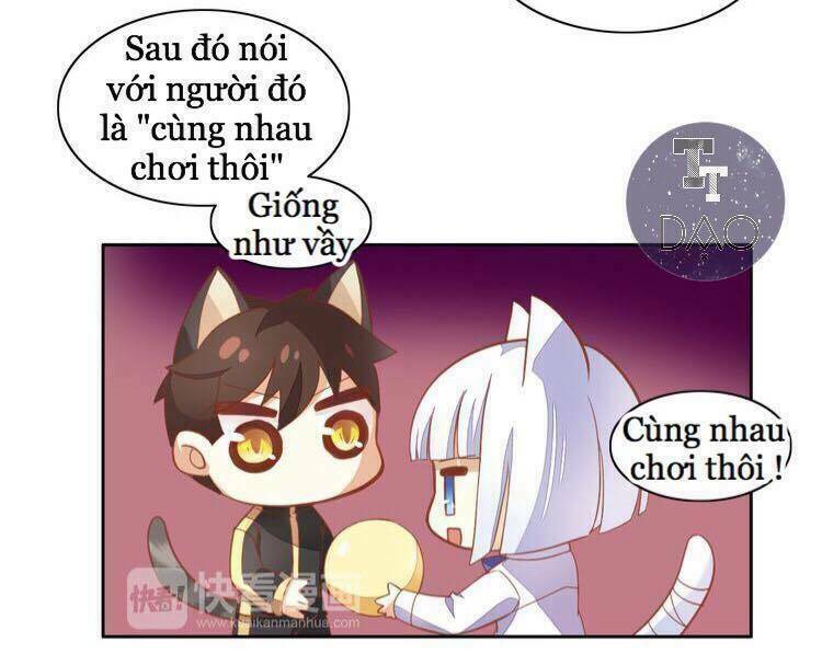 dưới móng vuốt mèo chapter 4 16