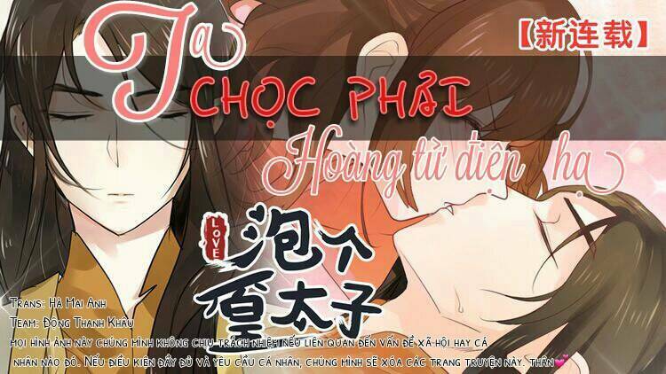 ta chọc phải hoàng tử điện hạ chapter 1 2