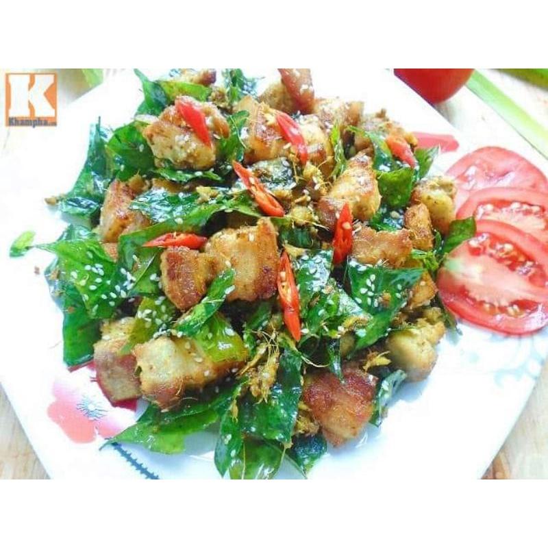 Cây giống mắc mật